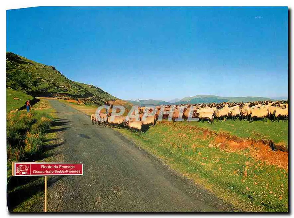 Weg naar de Kaas — Ossau-Iraty-Brebis-Pyrénées — Graphil - Voorkant