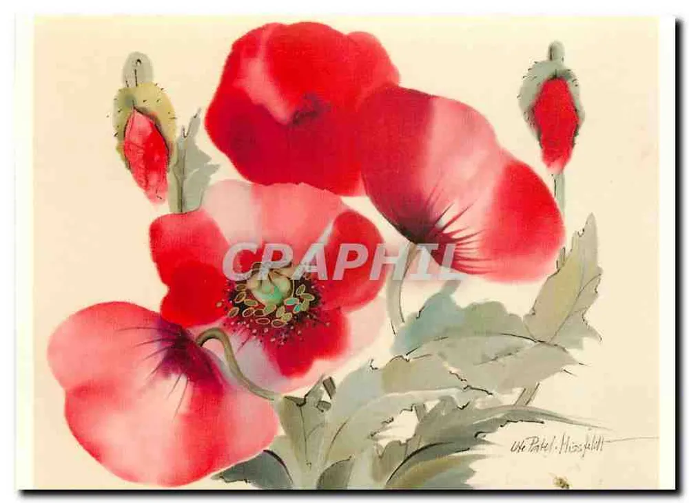 Poppies — aquarelle sur papier — éditeur Eulon Verlag, n° 02910 - Recto
