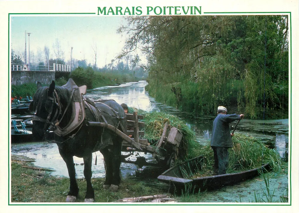 Marais Poitevin — paisaje con caballo y barco — editor Artaud Frères - Anverso