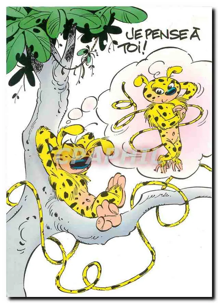 Marsupilami — Série completa — Edições Toucan - Frente