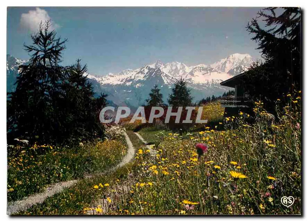 Alpine Landschaft — Mont Blanc im Hintergrund — S.E. Cliché S. Deschamps - Vorderseite