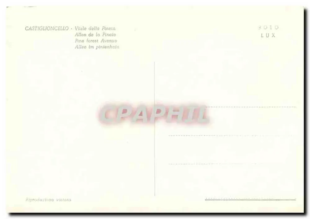 Castiglioncello — Viale della Pineta — n° 102 - Verso