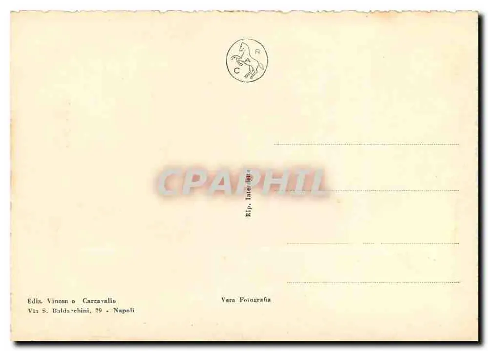 Napoli - Piazza Municipio en Stazione Marittima — Uitgever Edin. Vincen o Carravallo - Achterkant