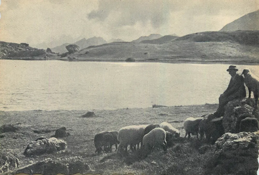 Bergsee — Schafherde und Schäfer — Edition Giulio Argiolo, Veneto - Vorderseite
