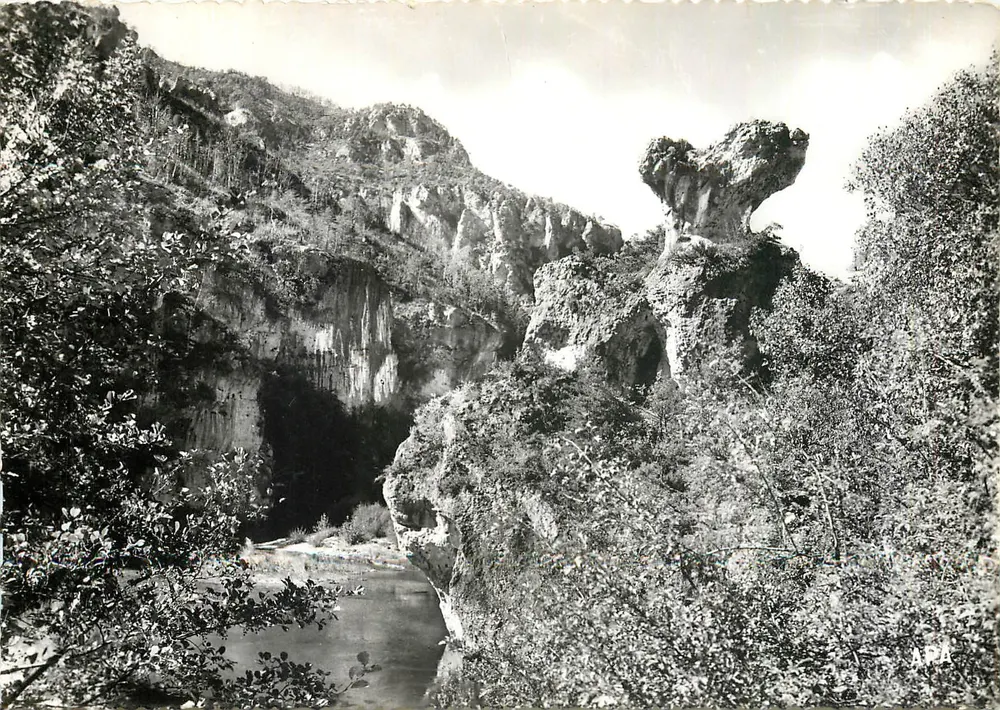 As Gorges do Tarn — O Champignon — Sté des Cartes Postales APA — POUX - Frente