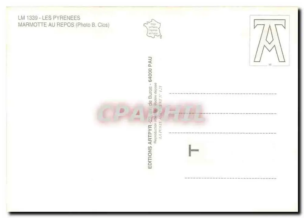 Marmota — em repouso — Edições ARTPYR, n° LM 1339 - Verso