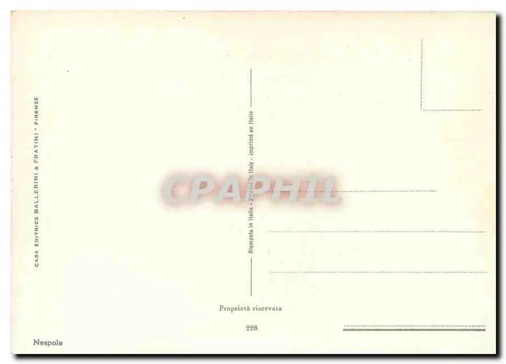Nature morta com frutas — obra de Carlo Angiolini — editor Casa Editrice Ballerini & Fratini, Florença - Verso