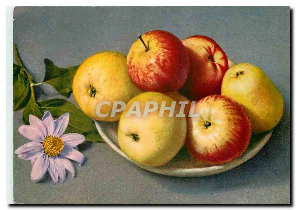 Natureza morta — frutas e flor — impressa na Suíça, n° 2169 - Frente