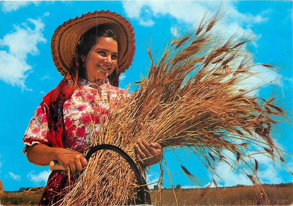 Mulher no trigo — Ribatejo, Portugal — Ceifeira, n° 351 - Frente