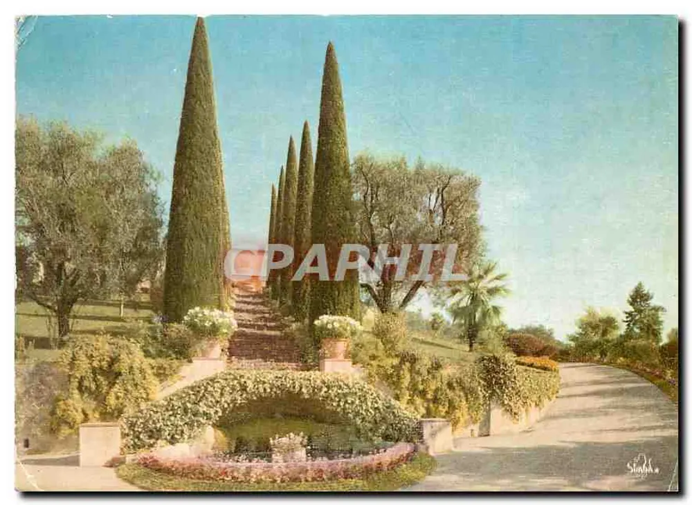 ले कैनेट के बगीचा — कोट डी आजूर — सिम्बा एडिशन - आगे