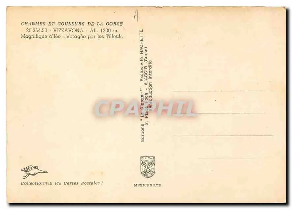 Vizzavona — Schattige Allee unter Kirschlorner — Éditions Diplôme - Rückseite