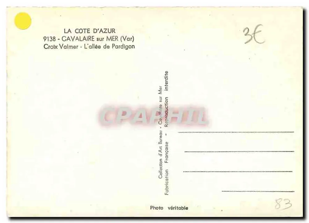 Avenida de palmeras — Croix Valmer, Costa Azul — P. Bureau - Reverso