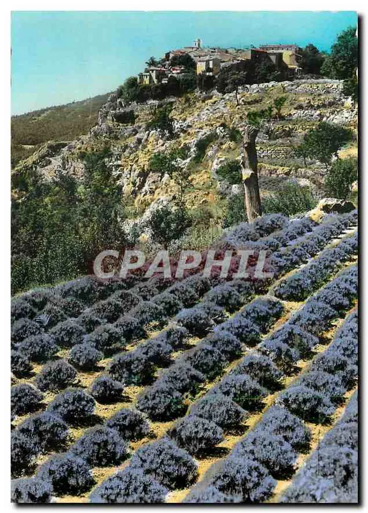 Gourdon (A.M.) — Lavendel-Kultur — L. Gilletta & Cie, Verlag, Nice - Vorderseite