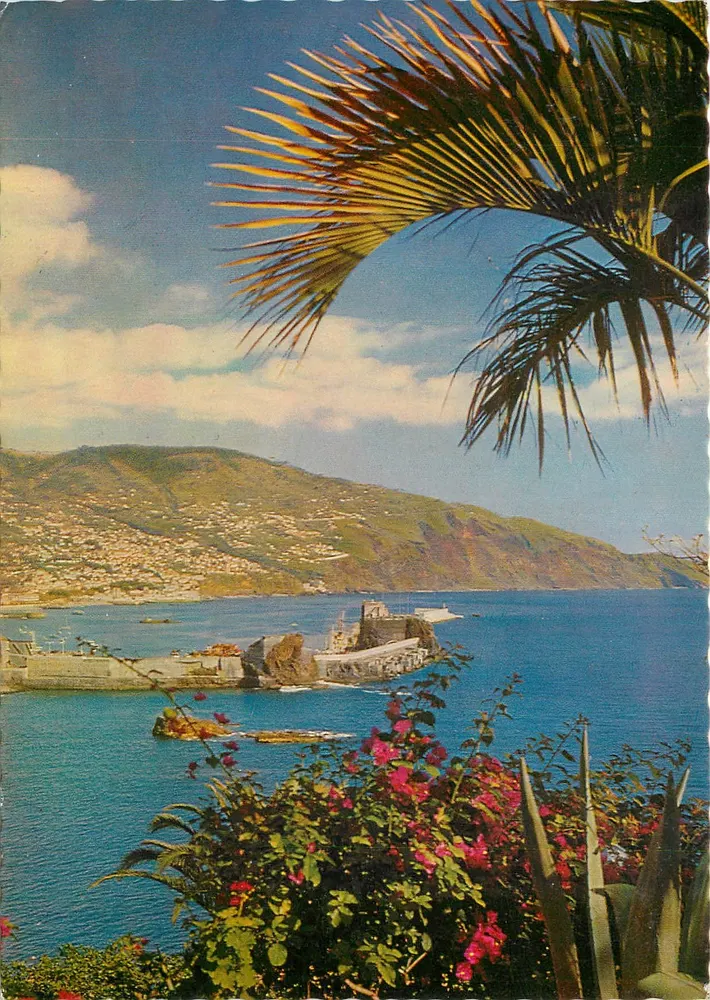 Funchal — Baía de Funchal — editor Haase Huser KG, n° MD 45 - Frente