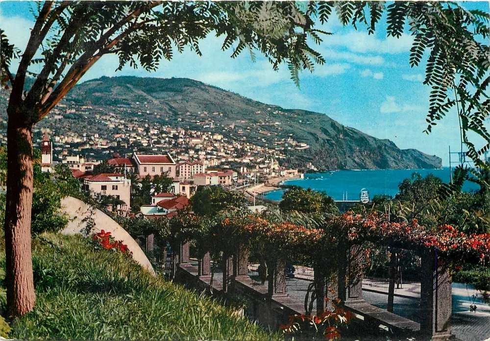 Funchal (Madeira) — Oostzijde — Vista Leste — uitgever Natural Colors, n° MAD 31 - Voorkant