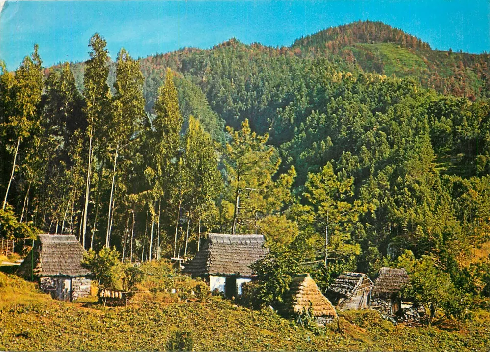 परंपरागत घर (मेडियरा) — सैंटाना — कॉपीराइट बाई हैंस हुबर के जीई - आगे