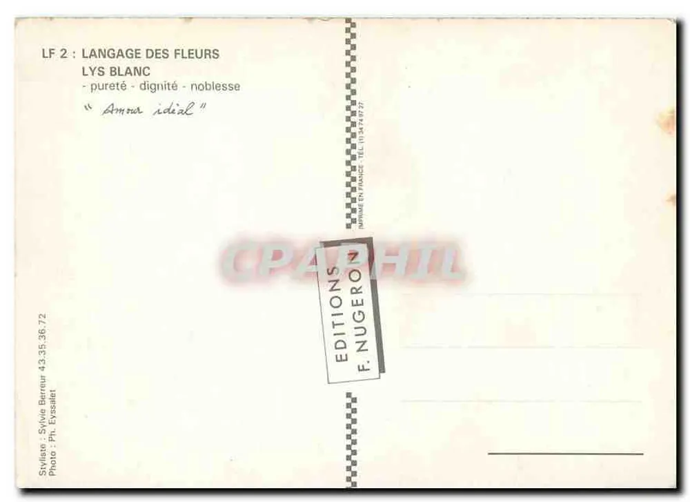 Arranjo de lírios brancos e plantas com espigas amarelas — Edições F. Nugeront - Verso