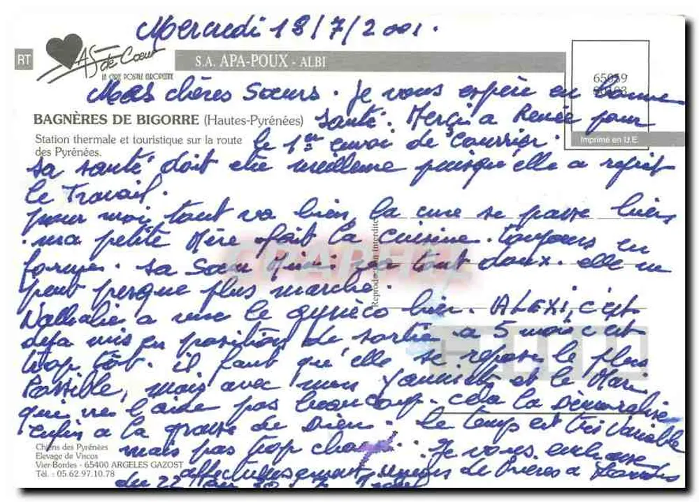 Bagnères-de-Bigorre — widok panoramiczny z statuą, psami, kościołem i placem — wydawca S.A. APA-POUX - ALBI - Rewers