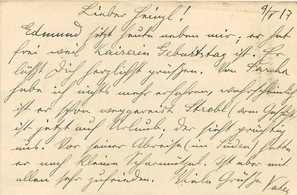 Carta postal de Feldpost — Feldpost 431 — Wiener Neustadt, 9 de abril de 1917 - Verso