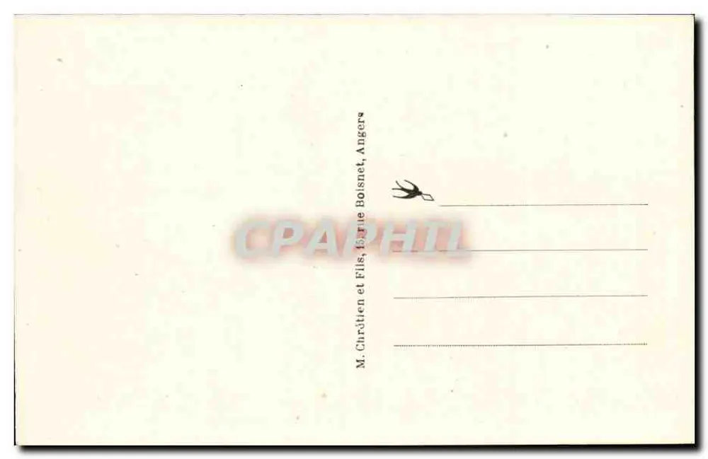 Coutures (M.-et-L.) — Visão da estrada de Chemellier em direção à Igreja - Verso