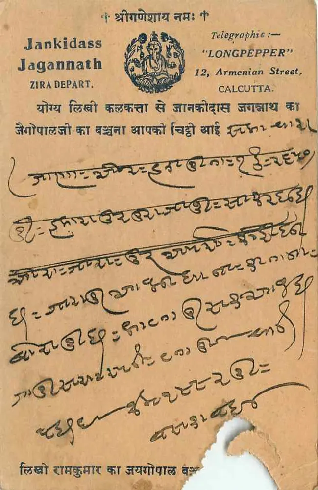Calcutta — Jankidass Jagannath — editor 'LONGPEPPER' - Verso