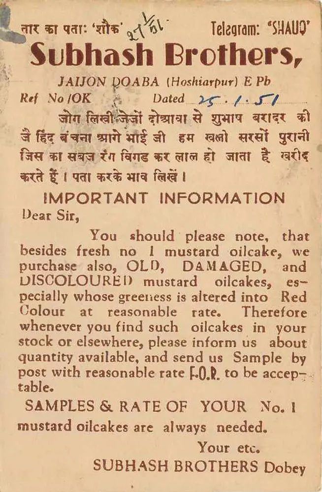 सूरजमुखी के गले खरीदने के लिए विज्ञापन — सुभाष भाई, होशियारपुर - पीछे