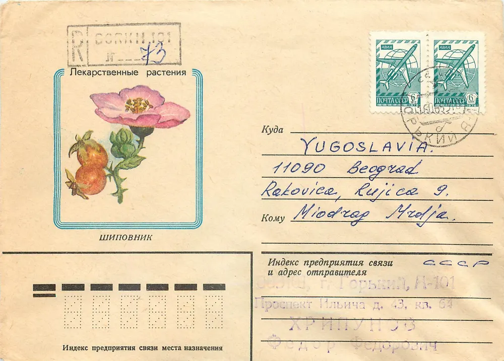 Flores e frutos medicinais — Shipoynik — Editor: Khudozhnik B. Ostanenko, 1982 - Frente