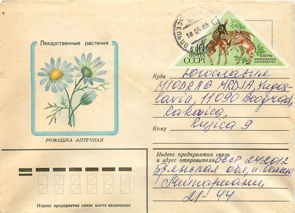 Flores medicinais — Romashka farmacêutica — Editor: V. Ostanenko, 1982 - Frente