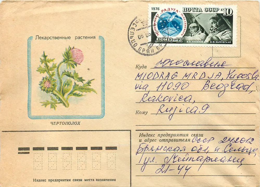 Planta medicinal — Chertopolok — editor desconhecido, série não identificada - Frente