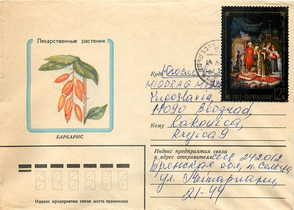 Barbary — Plantas medicinais — editor PPF Goznaka, n° 3202 - Frente