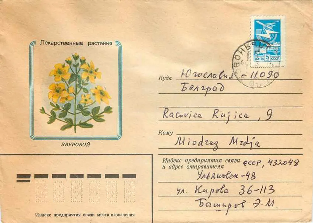 Plantas medicinais — Zveroboy — Editor: B. Osmankov, 1982 - Frente