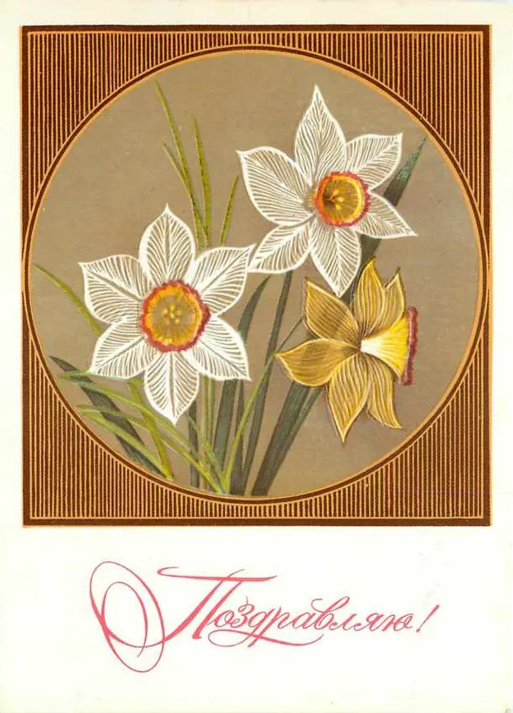 Narcisos — carta de felicitações — editor desconhecido - Frente