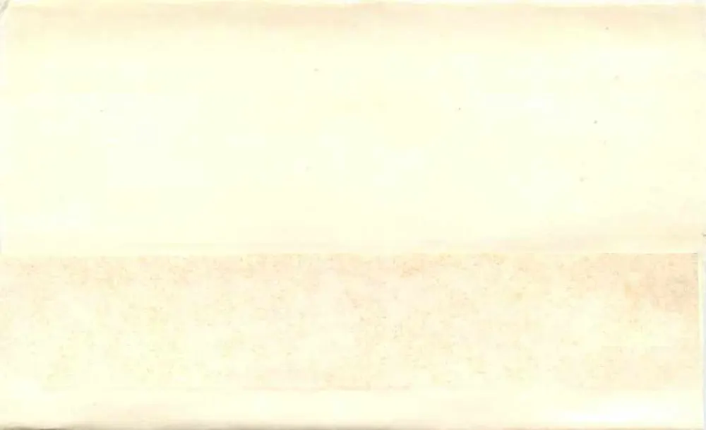 Manuka — 1½d rosa Briefmarke — Briefmarke von Ryndwind (Neuseeland) - Rückseite