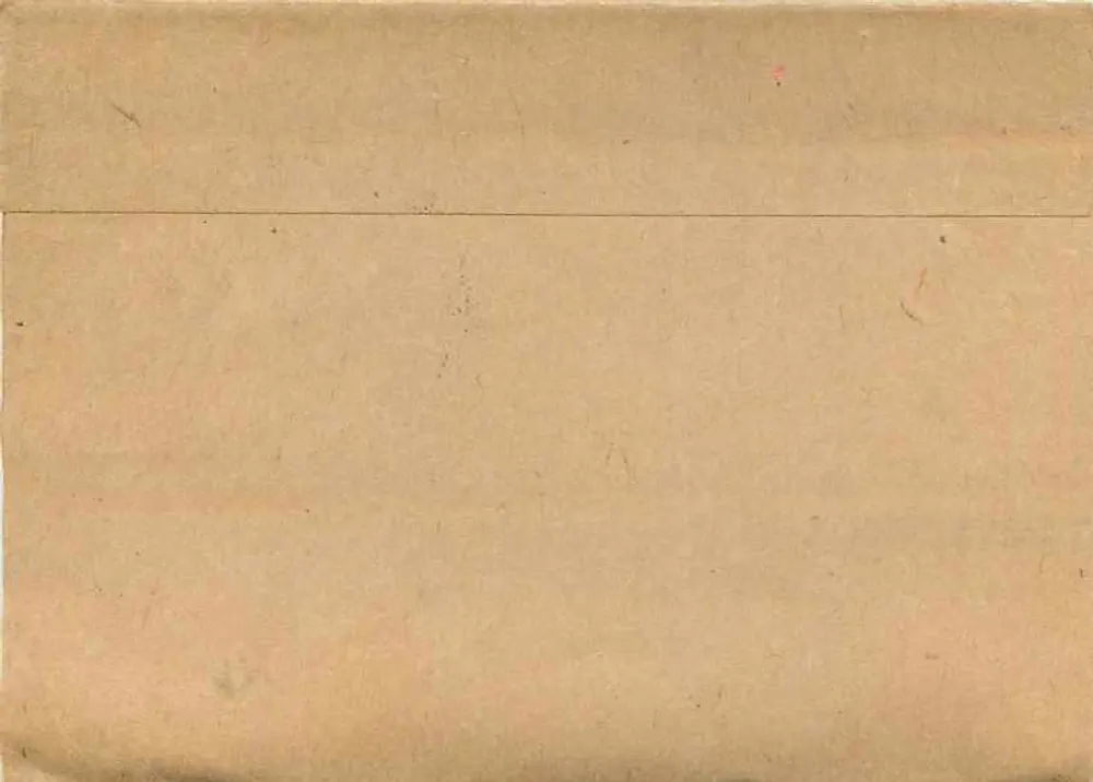Briefumschlag — N.Z. — 1d Neuseeland-Stempel — Poststempel Epsum - Rückseite