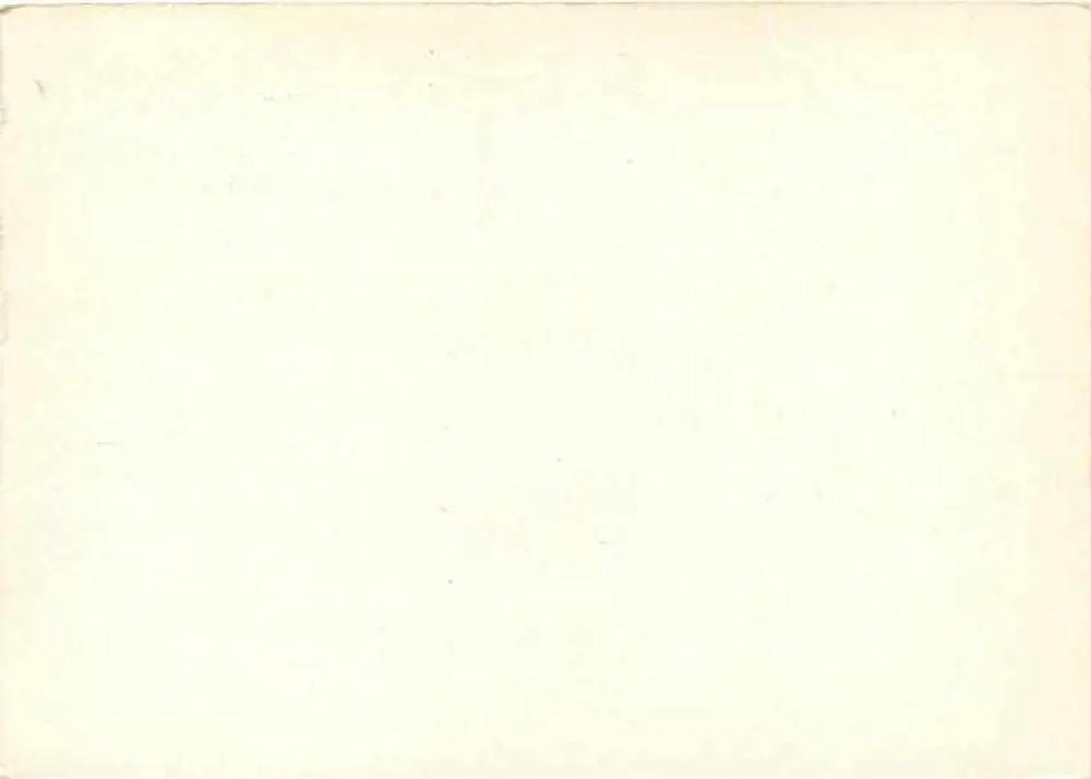 Dresde — carte postale avec timbres à abeilles — éditeur Ag 400 - Verso
