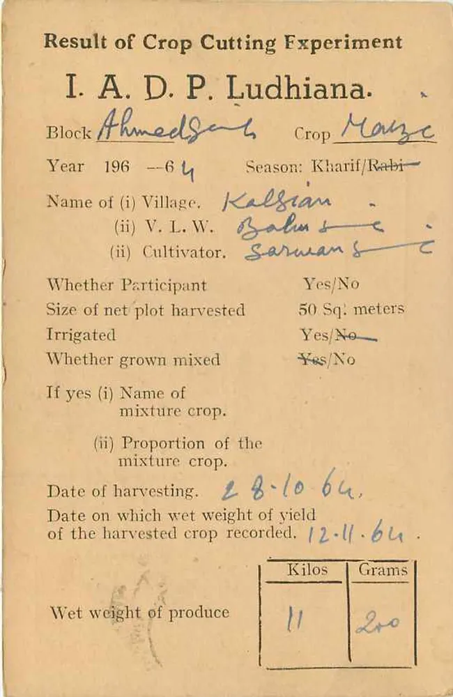Resultado de experiência de colheita de cultura — Ludhiana — India Service - Verso