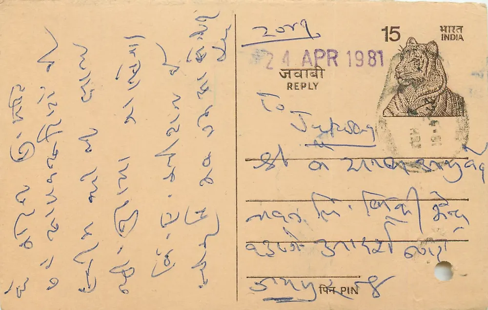 Carta postal indiana — texto em escrita à mão — selo de tigre 15 p. e carimbo '24 APR 1981' - Frente