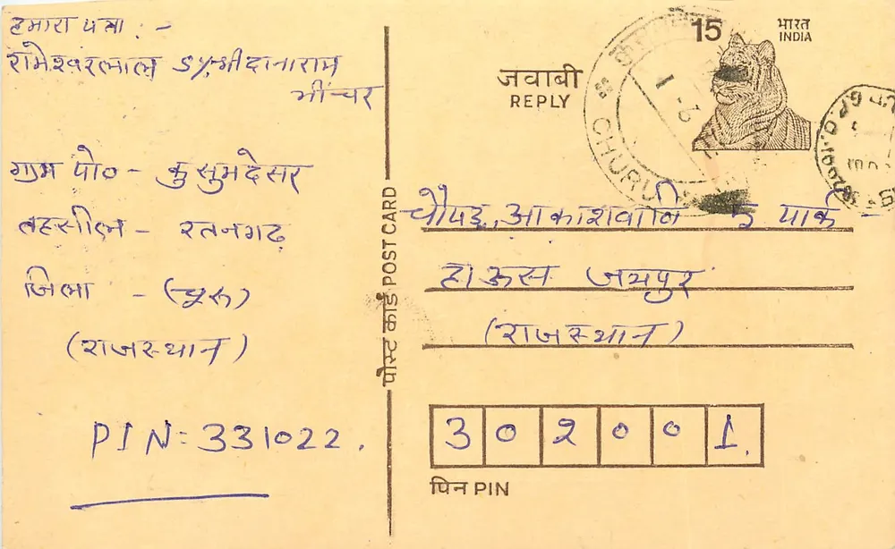 Churu - Rajasthan — reply postcard with tiger stamp and postmark - Front