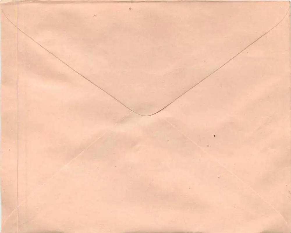 Kurier Express Delivery — Indie — znak pocztowy 15 p. na tle różowym - Rewers