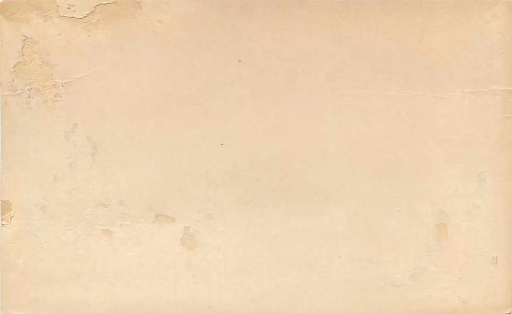 Cape of Good Hope — carte postale officielle — éditeur non visible - Verso