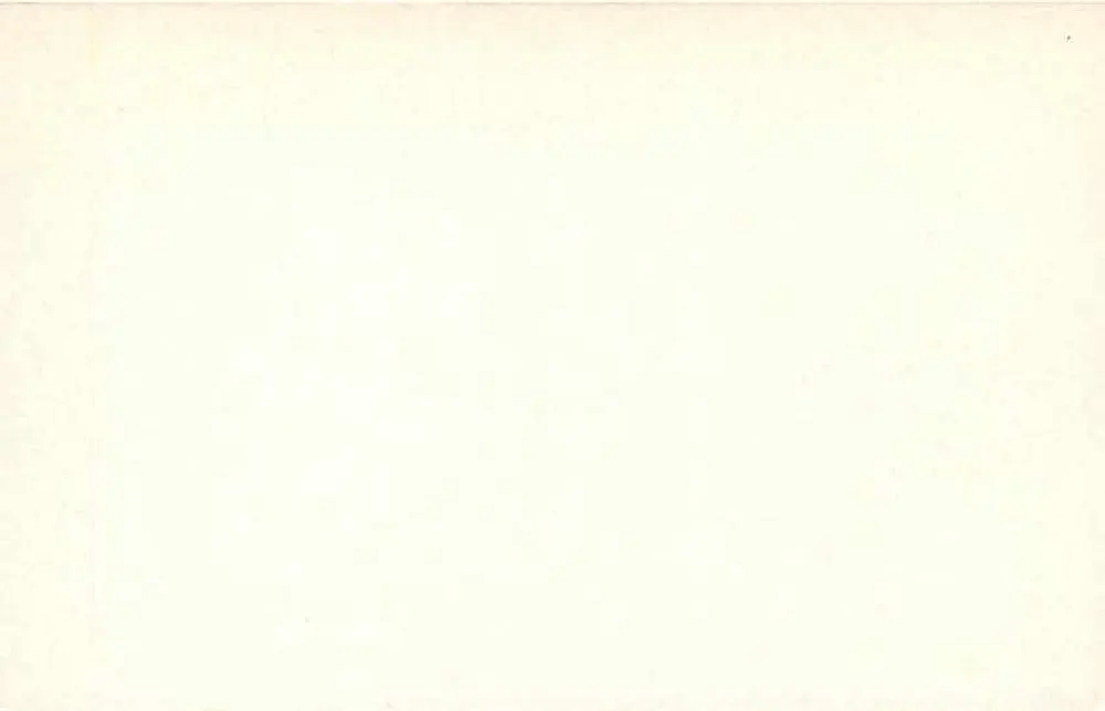 Ibys Ciskei — Bostrychia hagedash — Iposkhadi Postcard - Rewers