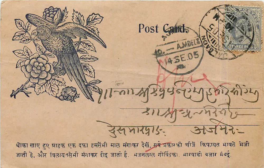 Pássaro em galho florido — carta postal indiana — editor não identificado - Frente