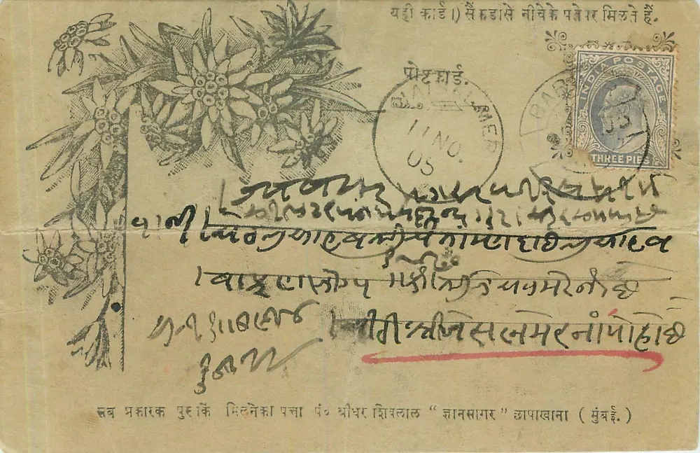 Flores de Edelweiss — carta postal indiana — editor desconhecido - Frente