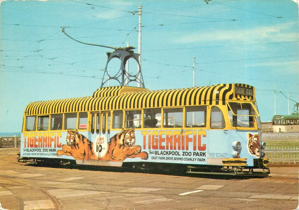 Tram publicitaire 'Tigerrific' — Blackpool Zoo — Éditeur E.T.W. Daniels & Sons Ltd. - Recto