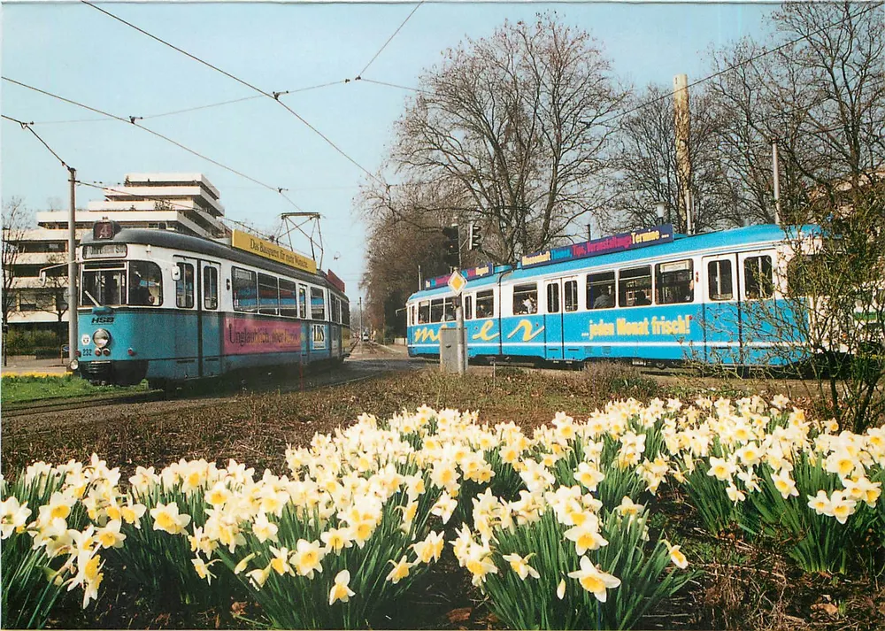 Deux tramways HSB à Heidelberg — Römerkreis — Kunstverlag Gärther - Recto