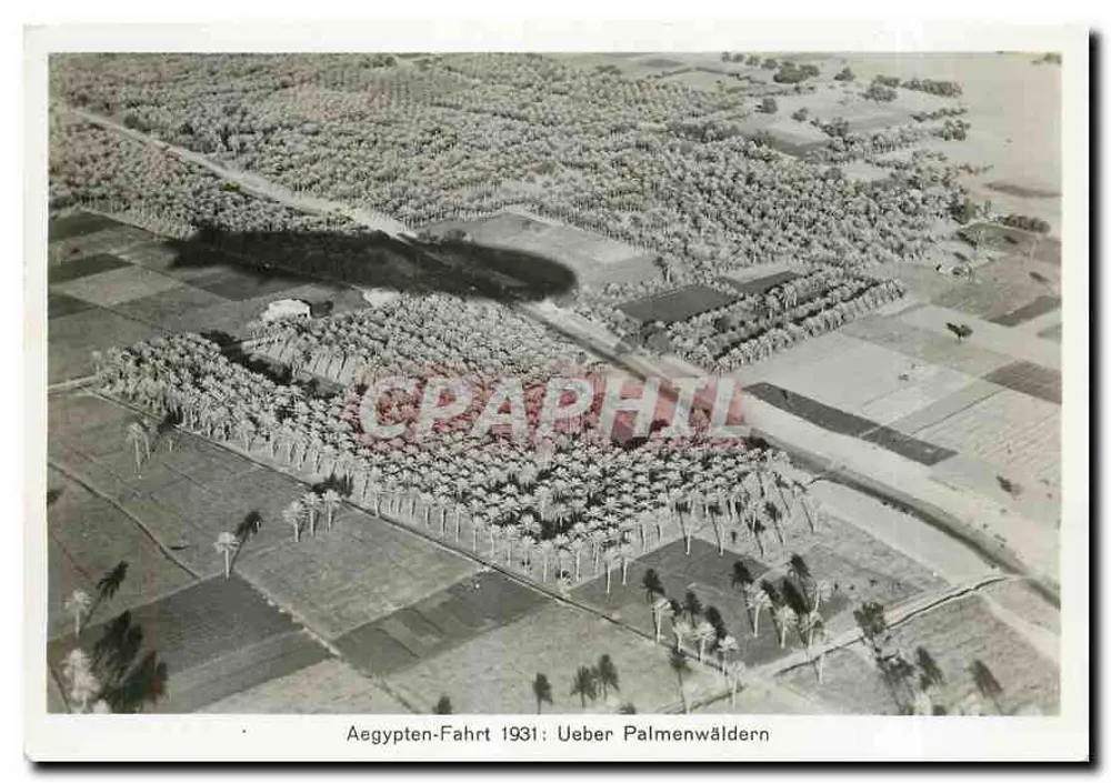 Ägypten-Fahrt 1931 — Aerial View von Palmengärten — Zeppelin-Club - Vorderseite