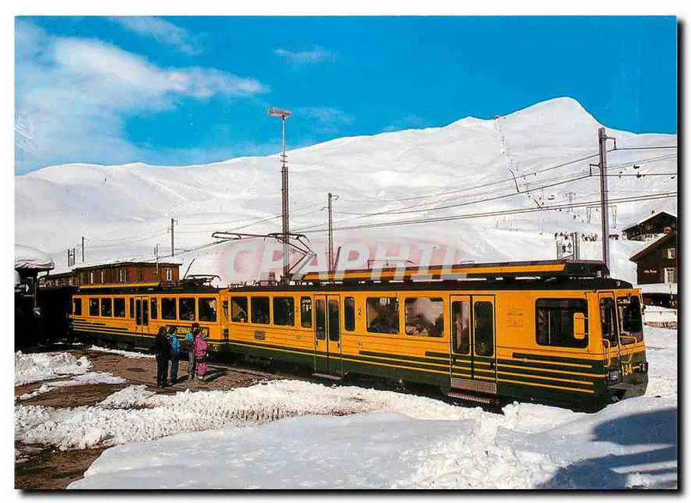 Treno a cremagliera della Wengernalpbahn — Svizzera — editore Rud. Suter AG, Zurigo, n° 292 - Recto