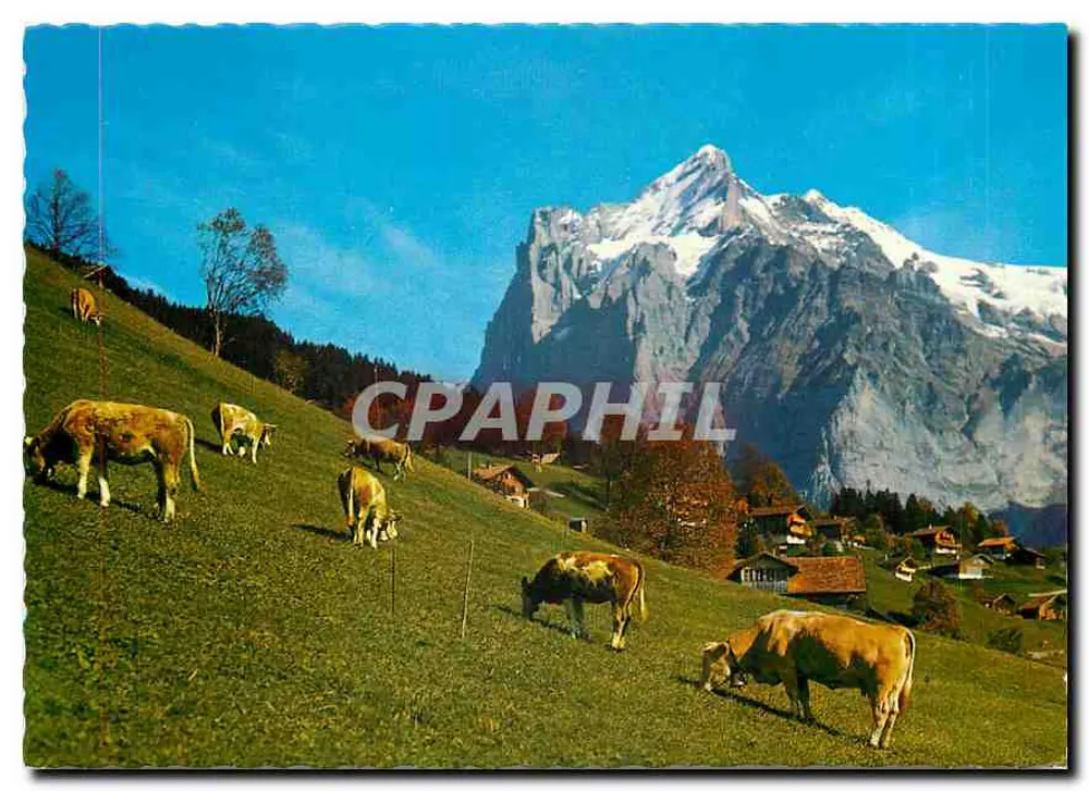 ग्रिंडेलवाल्ड - वेटरहर्न - फोटो आर्थर बॉर, श्रृंखला 8471 - आगे