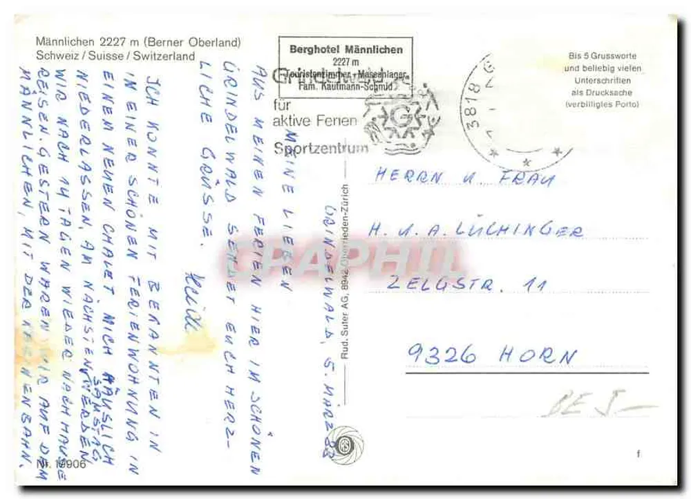 मैन्नलिचेन - जर्मनी के एल्प्स का व्यापक दृश्य - ग्रिंडेलवाल्ड एजी - पीछे
