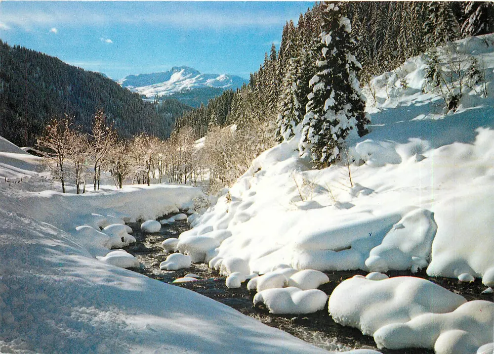 Sonniger Wintertag in Graubünden — F. Furlan Foto, Davos-Platz, Nr. 2203 - Awers